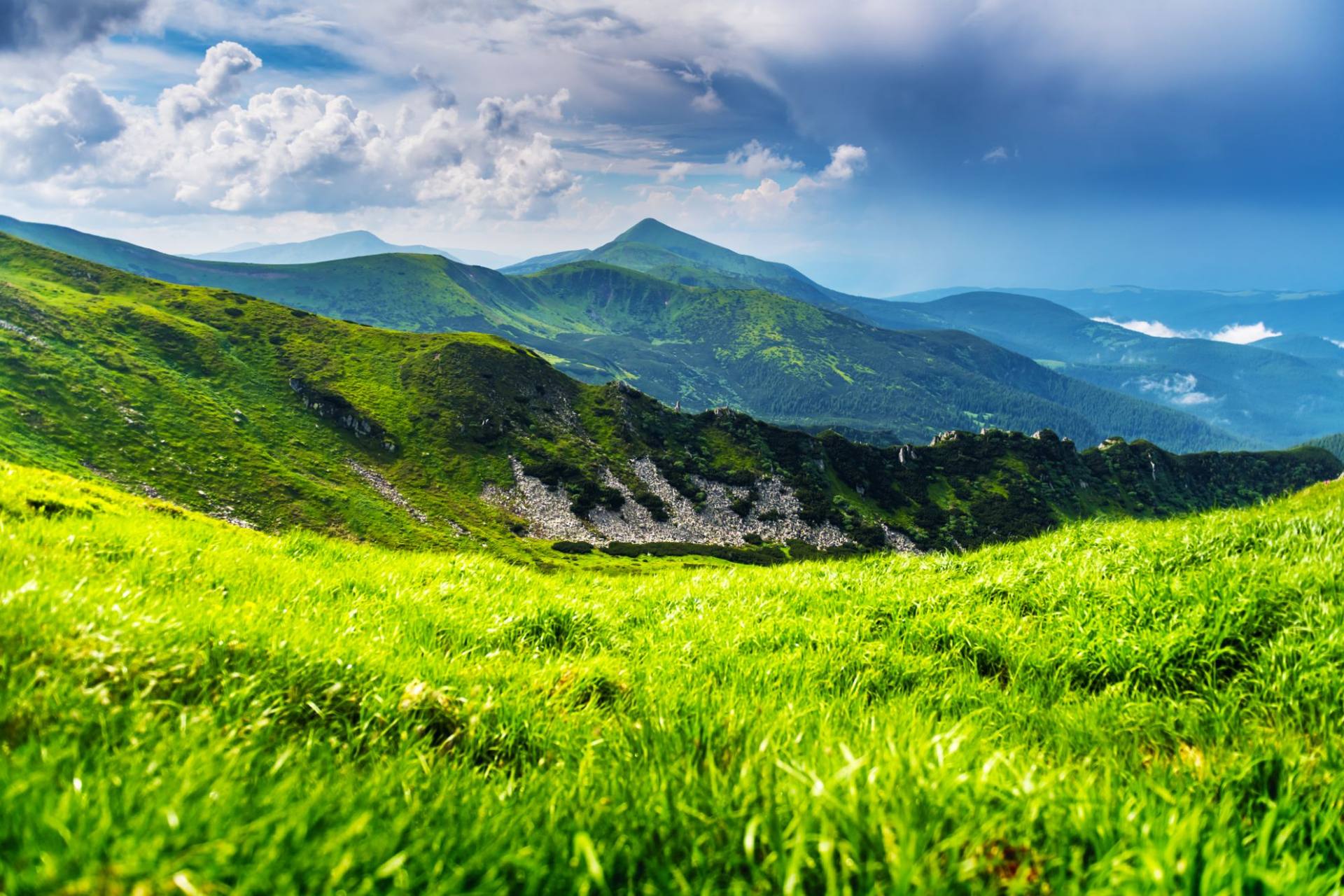 ECOFUTURE sustainability